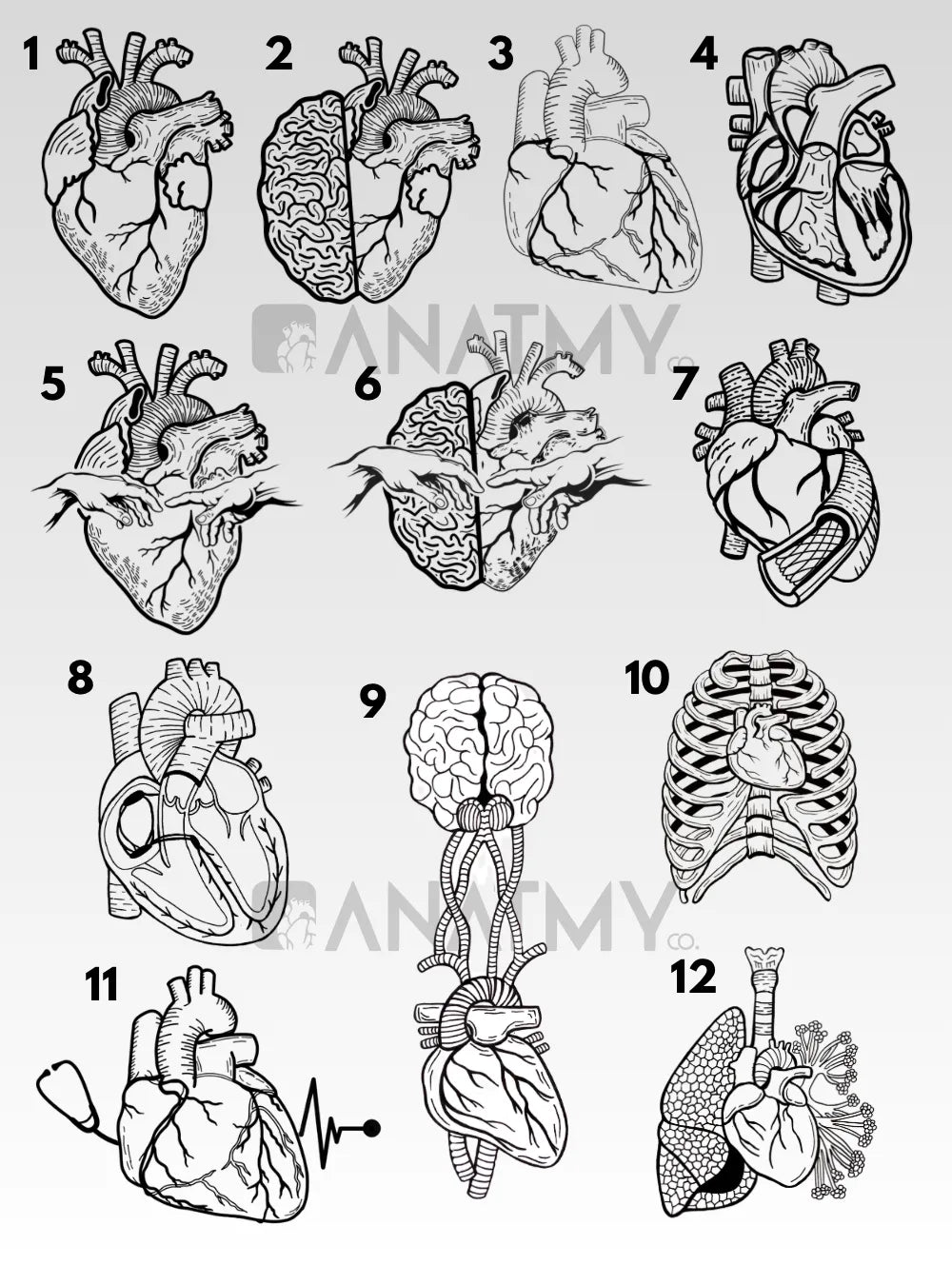 Termo Cardiología detalle