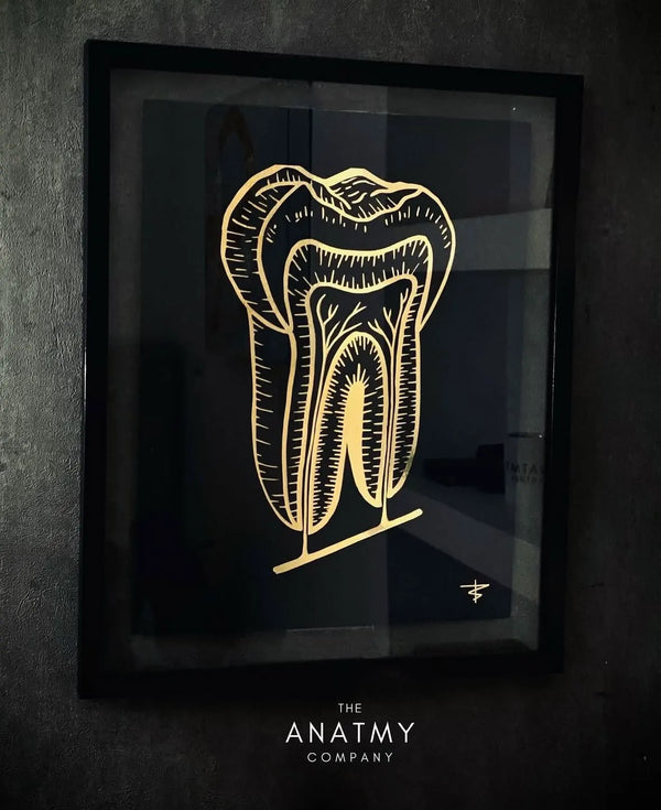 Cuadro Odontología