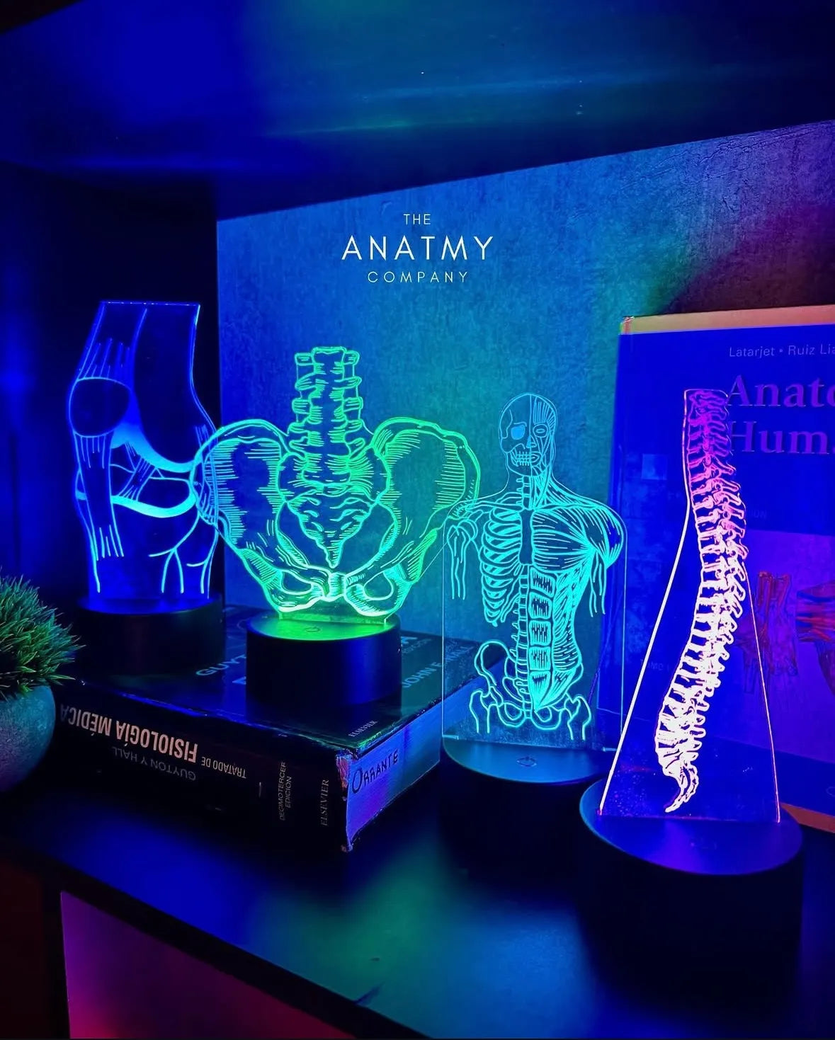 LED LAMPS TRAUMATOLOGIA-ORTOPEDIA