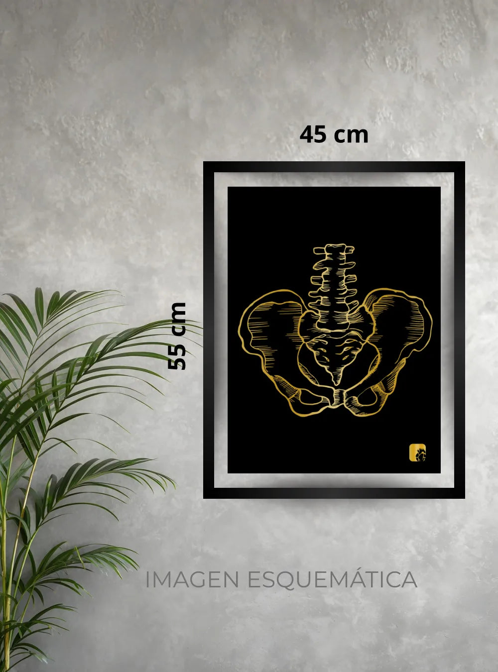 CUADROS TRAUMATOLOGÍA Y ORTOPEDIA - imagen 3