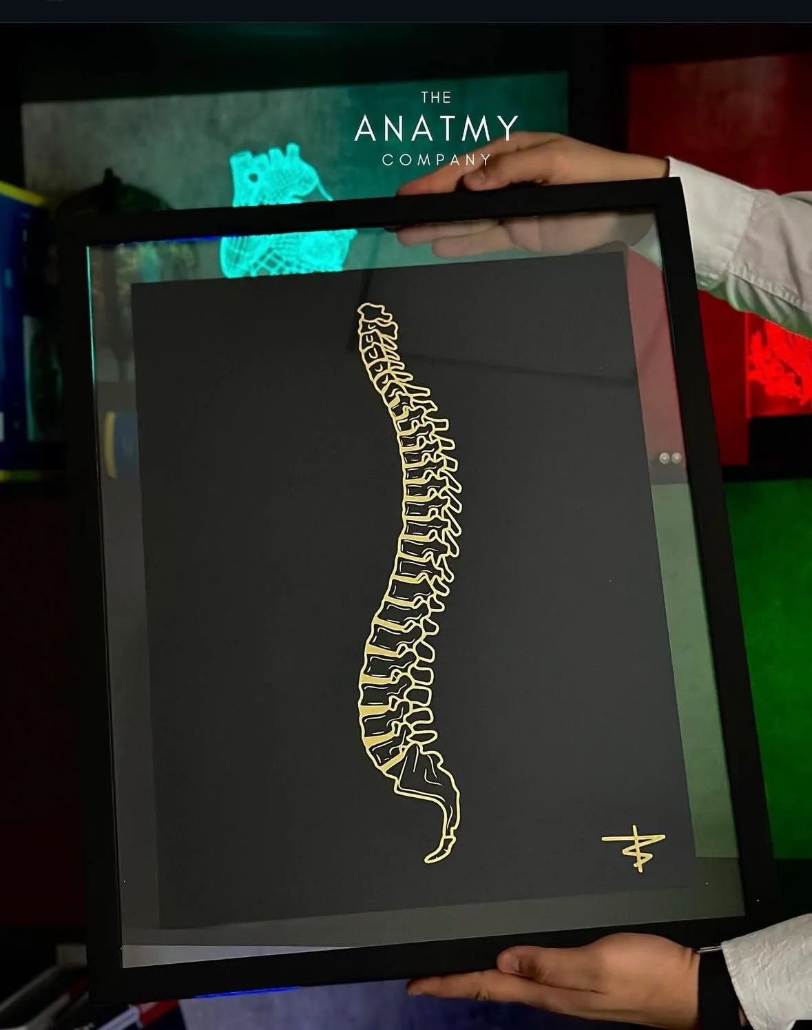 CUADROS TRAUMATOLOGÍA Y ORTOPEDIA - imagen 8