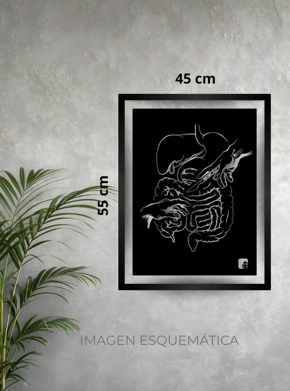 Cuadro Cirugía plata negro