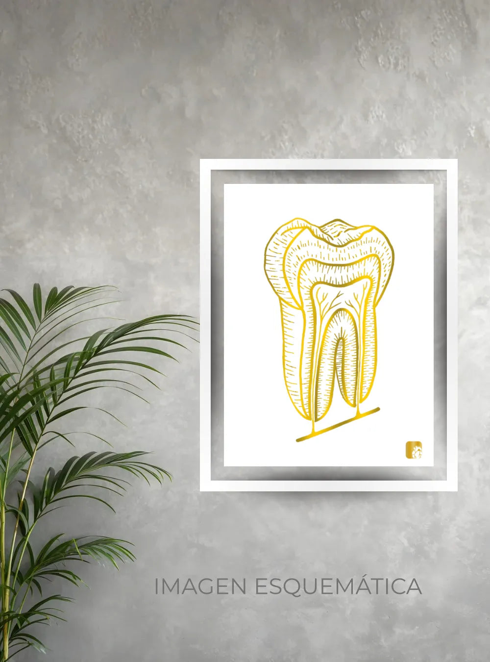 Cuadro Odontología blanco
