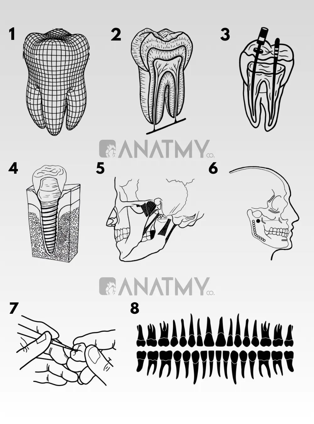 LED Lamp Odontología detalle