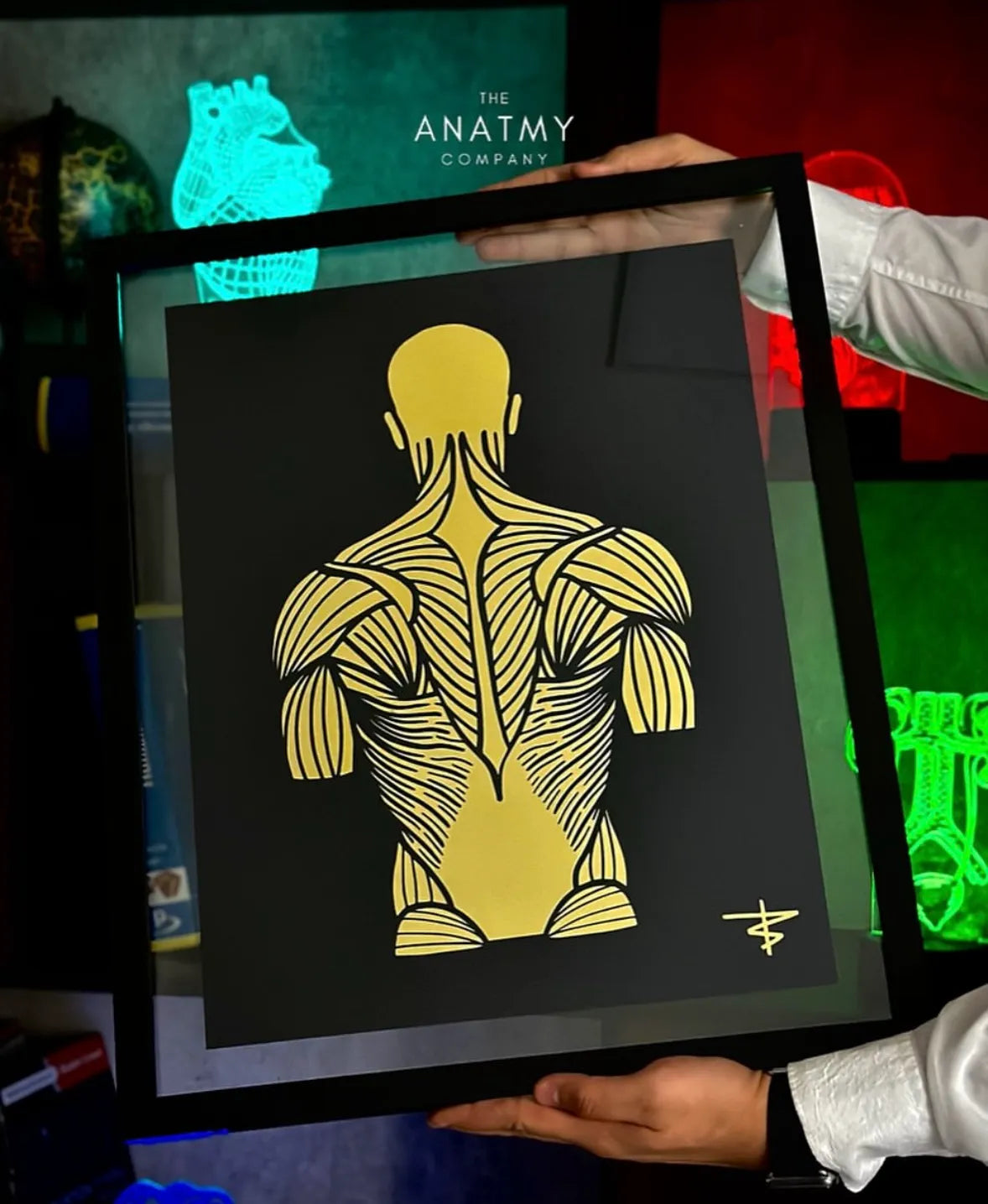 CUADROS TRAUMATOLOGÍA Y ORTOPEDIA - imagen 9