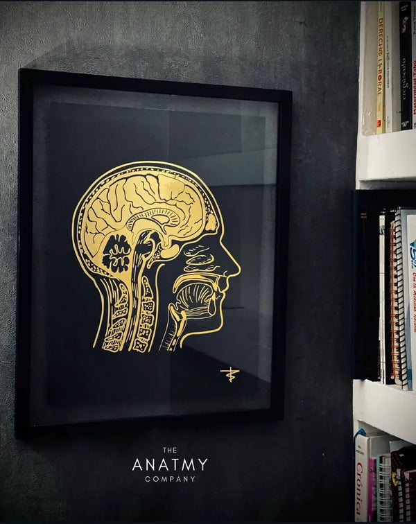 Cuadro Neurología